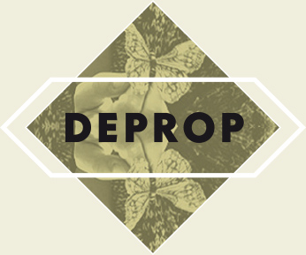 Deprop 2014